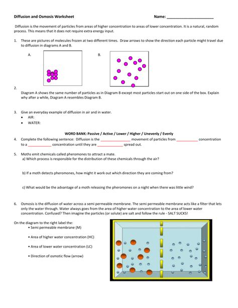 diffusion and osmosis worksheet with answers
